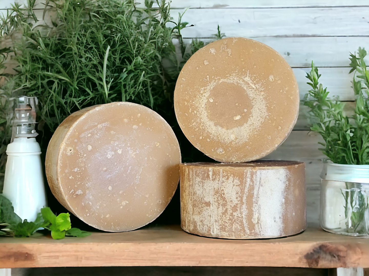 Tea Tree Peppermint Shampoo Bars